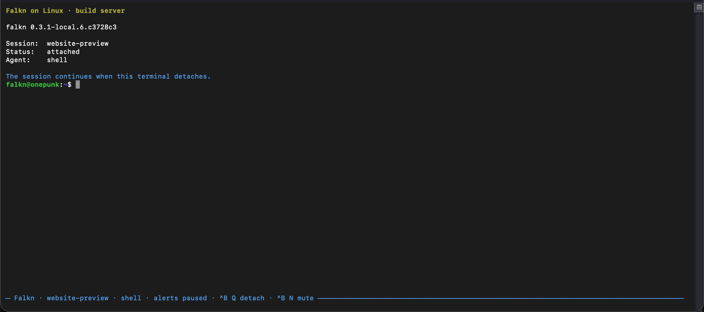 Falkn command-line session list from a Linux host